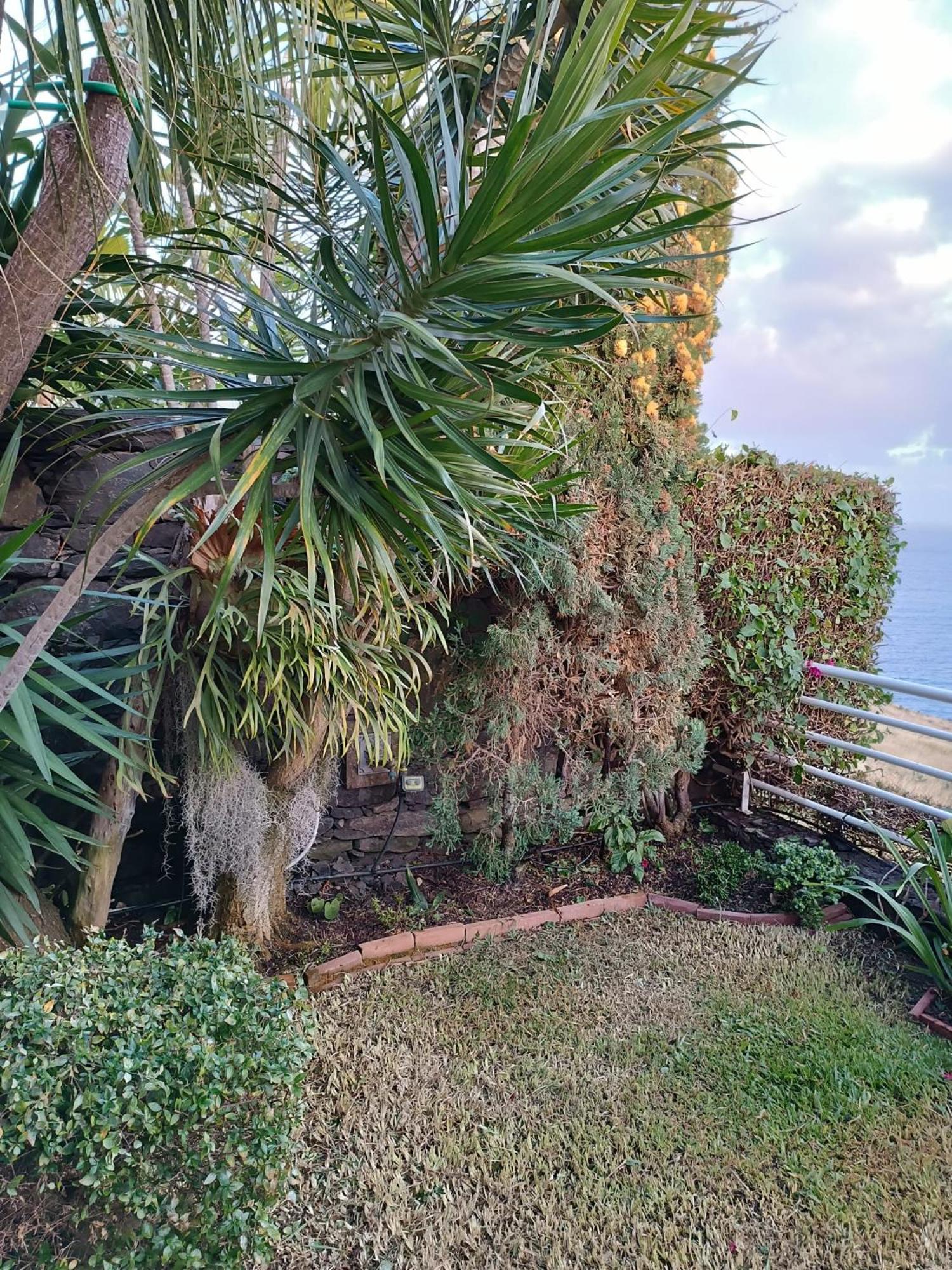 Вилла Moradia T2 Madeira Фуншал Экстерьер фото